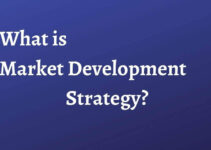 What is Market Development Strategy?