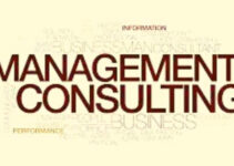 What is Management Consulting? How it Works