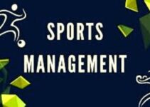 What is Sports Management? Degree & Job