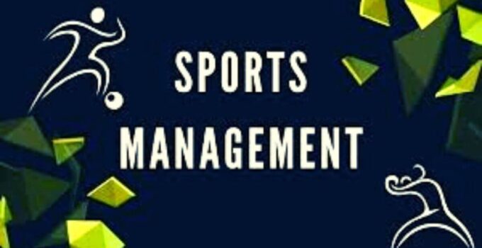 What is Sports Management? Degree & Job