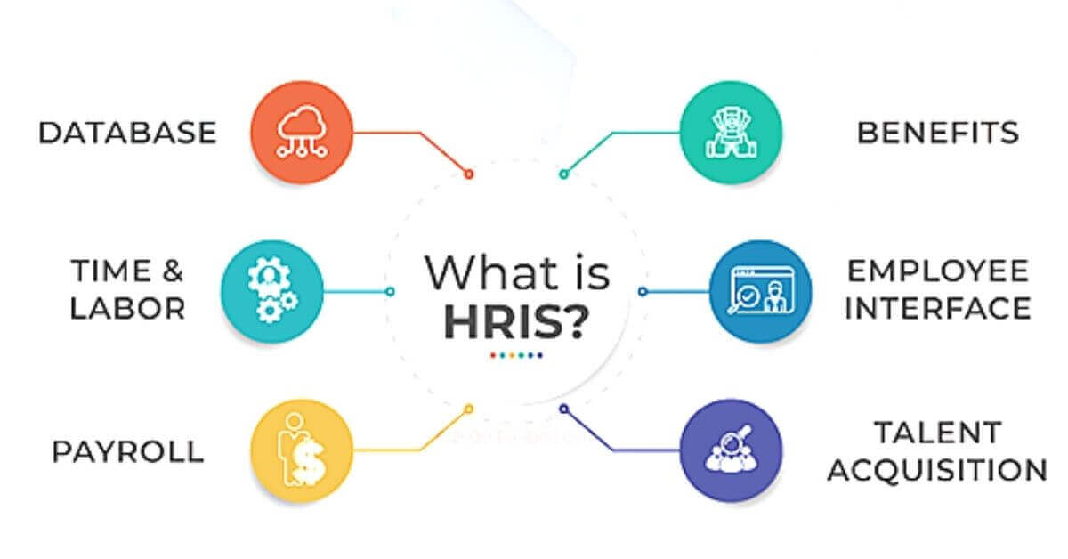 What Is HRIS Human Resource Information System Business Management 