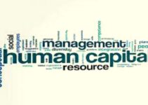 What is Human Capital Management? Importance/Benefits/Elements 