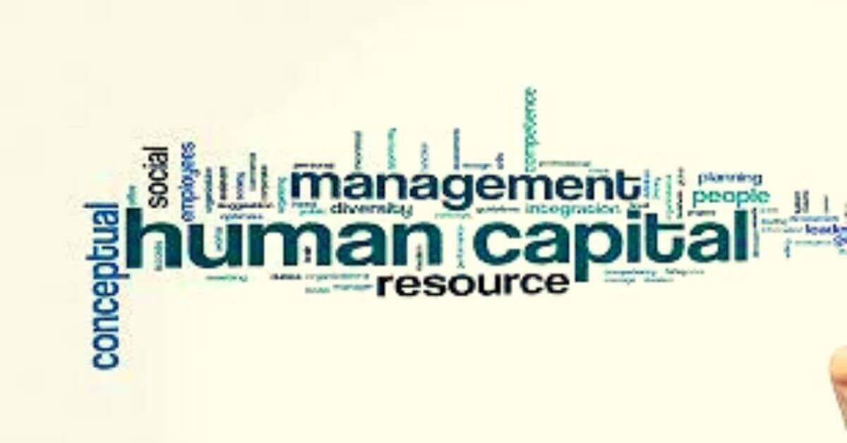 What Is Human Capital Management Importance Benefits Business 