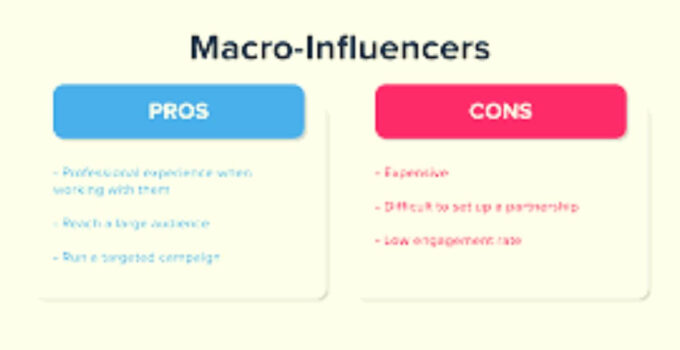 What is Macro Influencer? Types, Pros & Cons, Examples 
