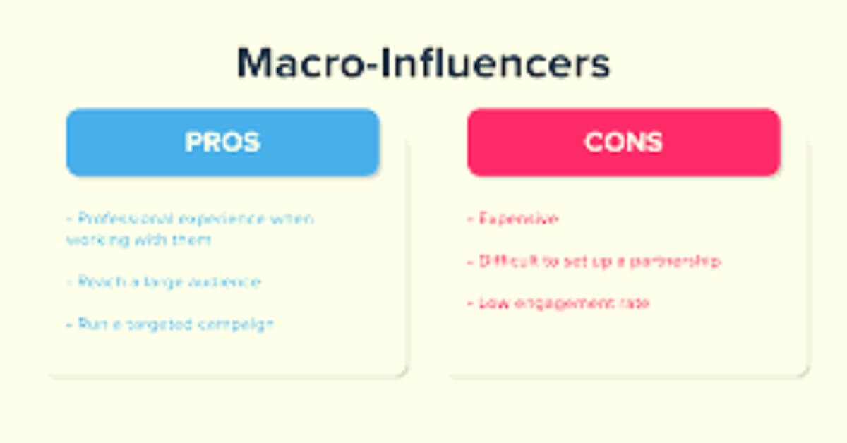 What is Macro Influencer? Types, Pros & Cons, Examples Business