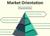 <strong>What is Market Orientation? How, Pros & Cons, Examples </strong>