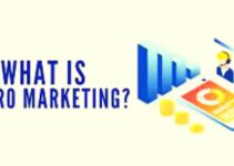 <strong>What is Micro Marketing? Pros & Cons, Examples </strong>