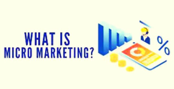 <strong>What is Micro Marketing? Pros & Cons, Examples </strong>