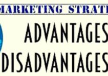 <strong>Advantages and Disadvantages of Marketing Strategy </strong>