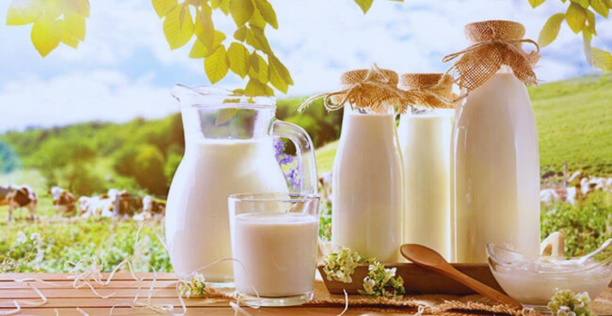 SWOT Analysis of Dairy Industry Business Management & Marketing