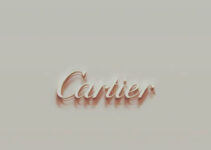 SWOT Analysis of Cartier 