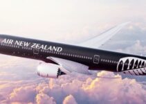 SWOT Analysis of Air New Zealand 