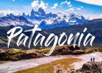 PESTLE Analysis of Patagonia